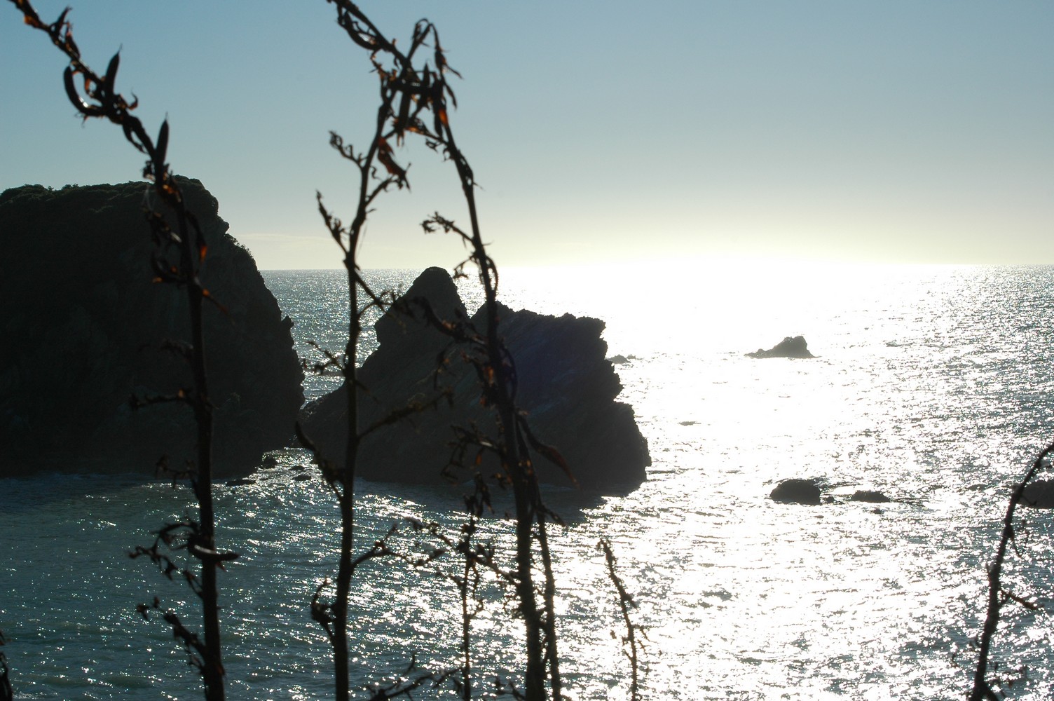 049   23 01   Nelson   Greymouth